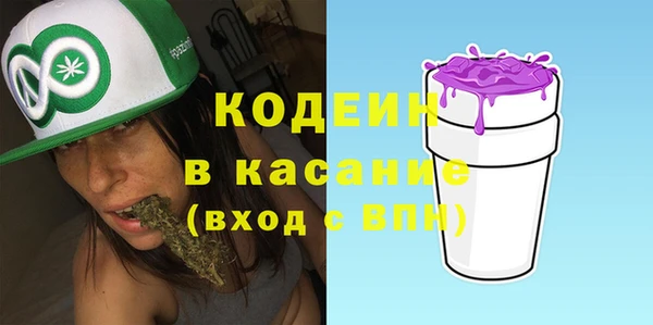 мдпв Ладушкин