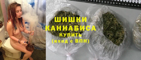 мдпв Ладушкин