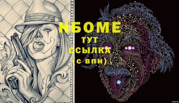 мдпв Ладушкин