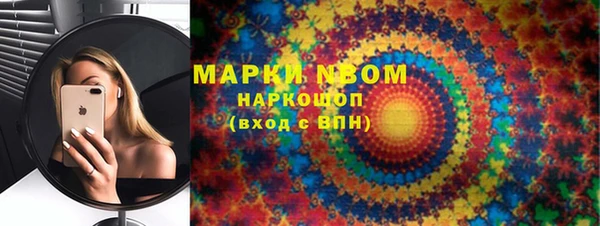 мдпв Ладушкин